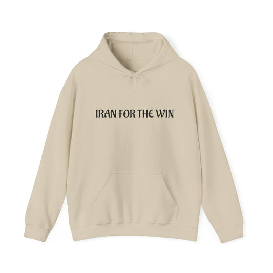Iran For The Win Hoodie - Bold Minimalist Text Pullover